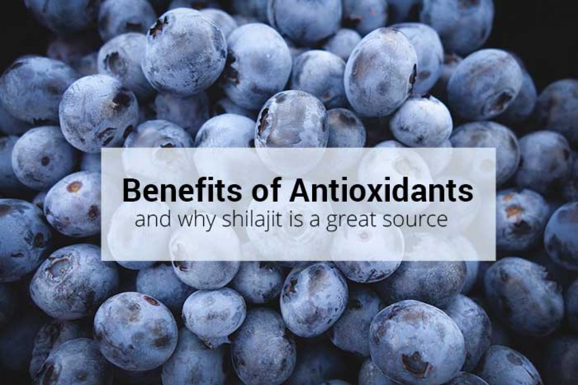 Benefits of Antioxidants and Shilajit