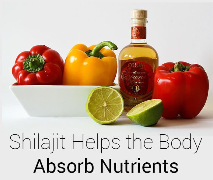 Shilajit: Helps Your Cells Absorb Nutrients
