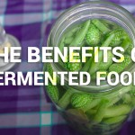 Learn about the Benefits of Fermented Foods