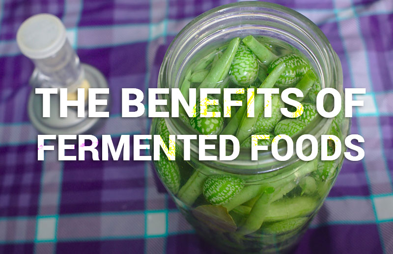 Learn about the Benefits of Fermented Foods