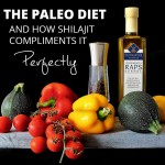 Why Shilajit compliments the Paleo Diet