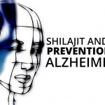 Using shilajit to prevent Alzheimer's
