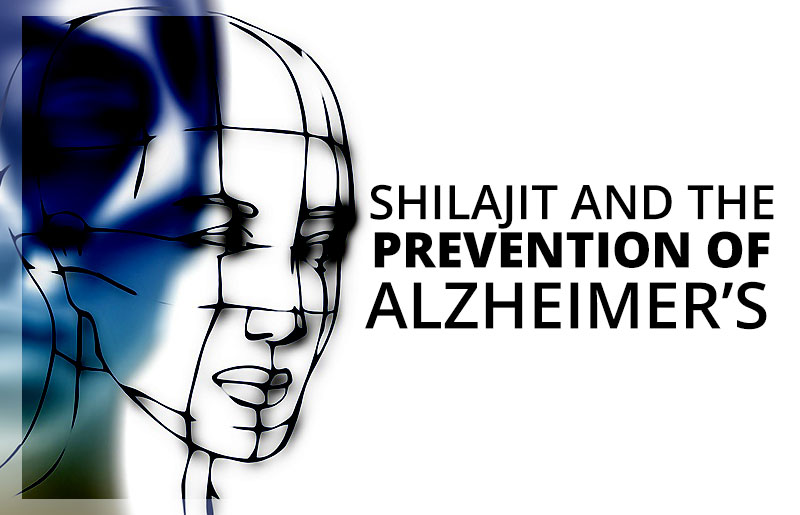Using shilajit to prevent Alzheimer's