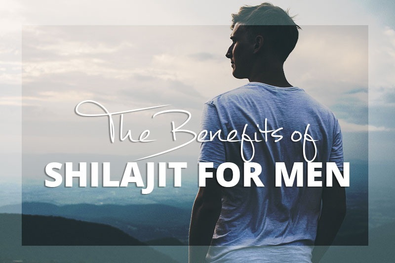 The Benefits of Shilajit for Men