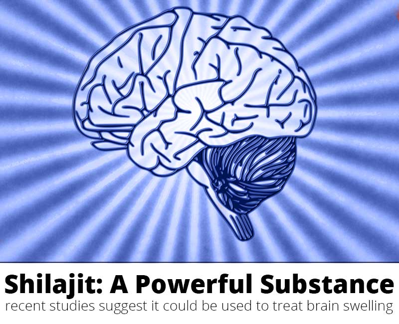 Brain Edema Treatment - Could Shilajit Help?