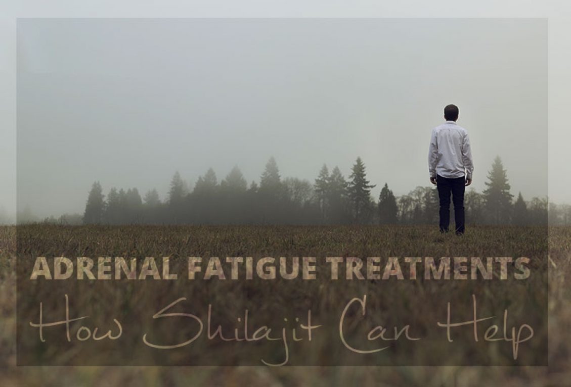 Adrenal Fatigue Treatments - How Shilajit Can Help