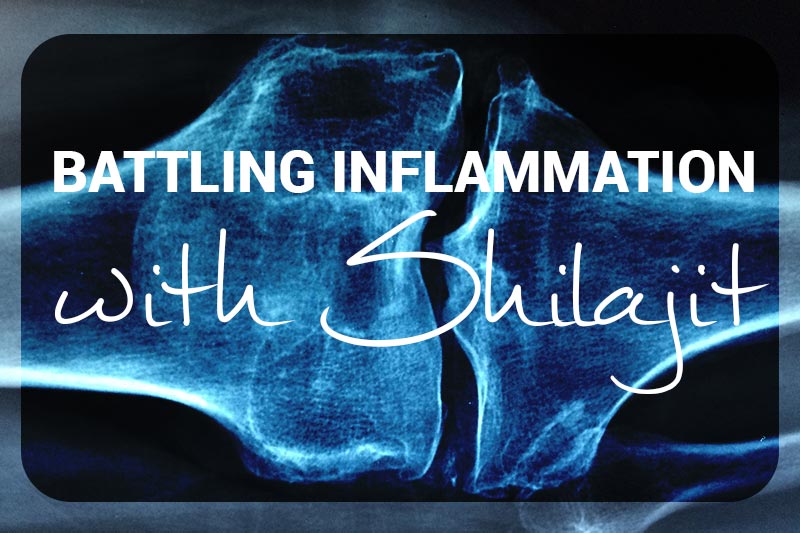 Battling Inflammation with Shilajit