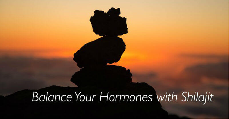 Balance Your Hormones with Shilajit