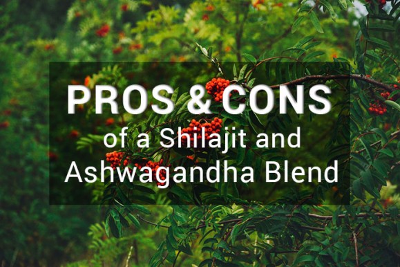 Pros and Cons of an Ashwagandha and Shilajit Blend