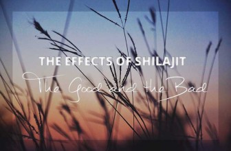 Shilajit Effects: A Look at the Good and the Bad