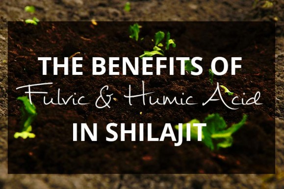 Fulvic and Humic Acid in Shilajit: The Benefits