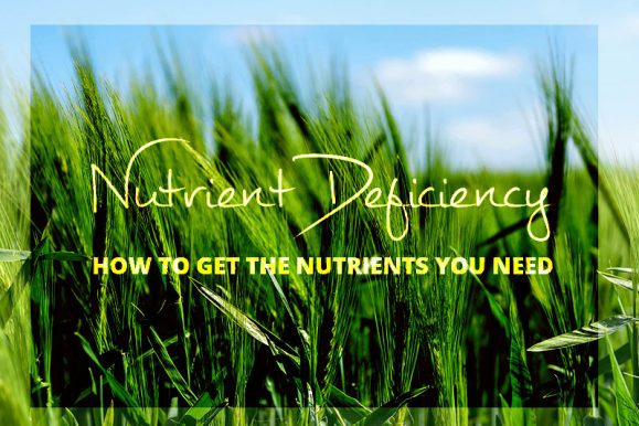 Modern Agriculture and the Problem of Nutrient Deficiency