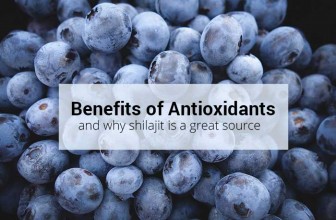 Benefits of Antioxidants Found in Shilajit