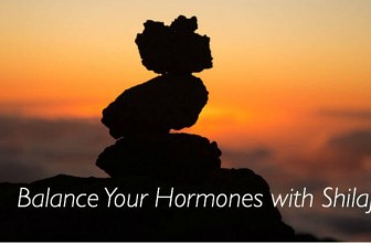 Balance Your Hormones with Shilajit