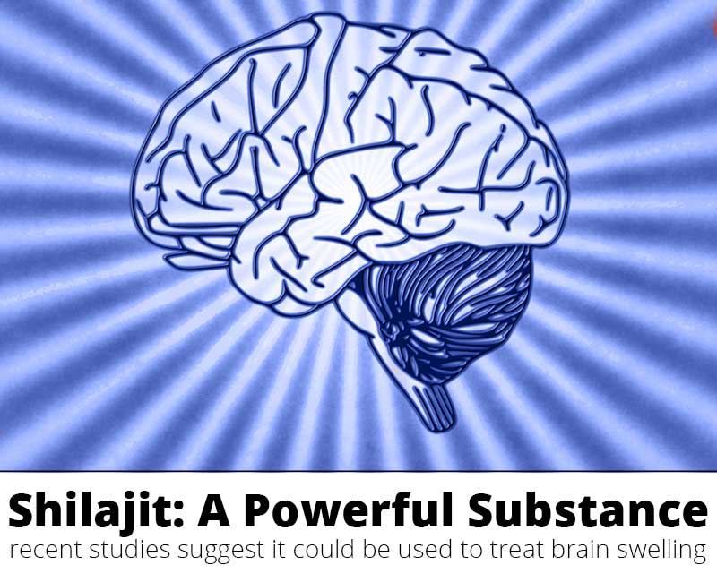 Shilajit: A Possible Brain Edema Treatment?
