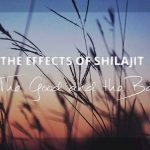 Shilajit Effects