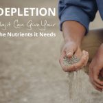 Soil Depletion and How Shilajit Can Give your Body Nutrients